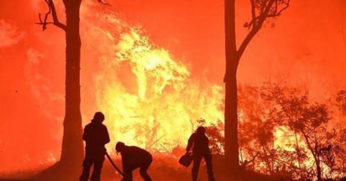 ATO and other financial support for those affected by the Bushfire Crisis